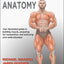 Bodybuilding Anatomy