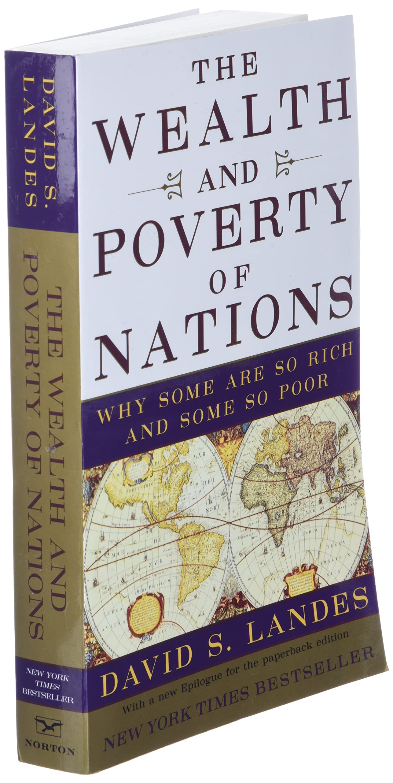 The Wealth and Poverty of Nations: Why Some Are So Rich and Some So Poor