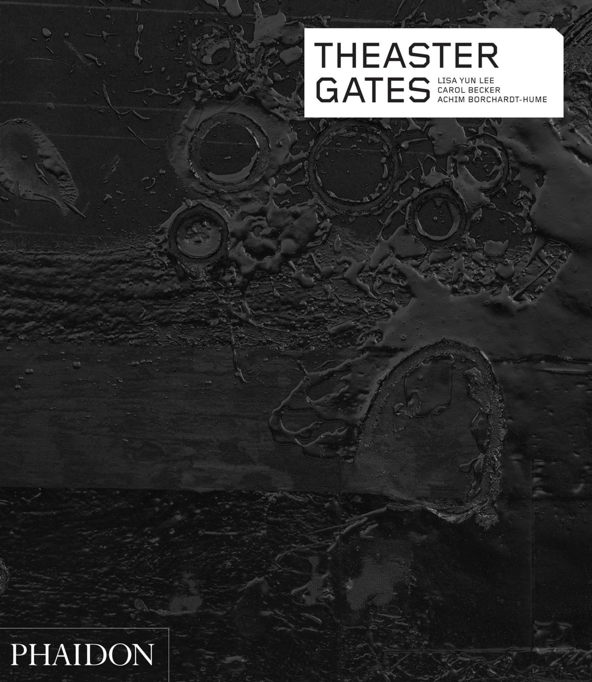 Theaster Gates (Phaidon Contemporary Artists Series)
