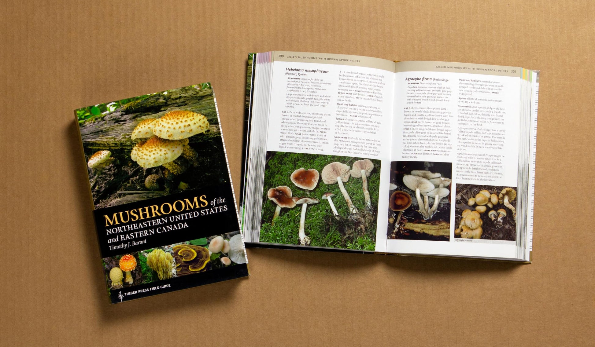 Mushrooms of the Northeastern United States and Eastern Canada (A Timber Press Field Guide)