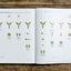 Infographic Bible