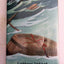 The Beatrice Letters (A Series of Unfortunate Events)