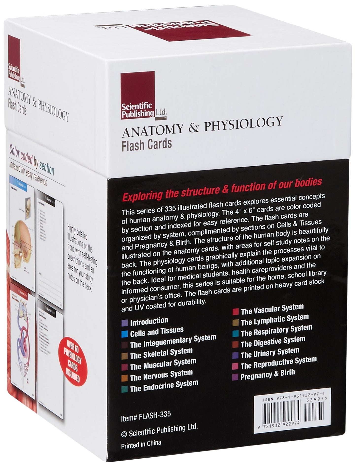 Anatomy & Physiology Flash Cards by Scientific Publishing