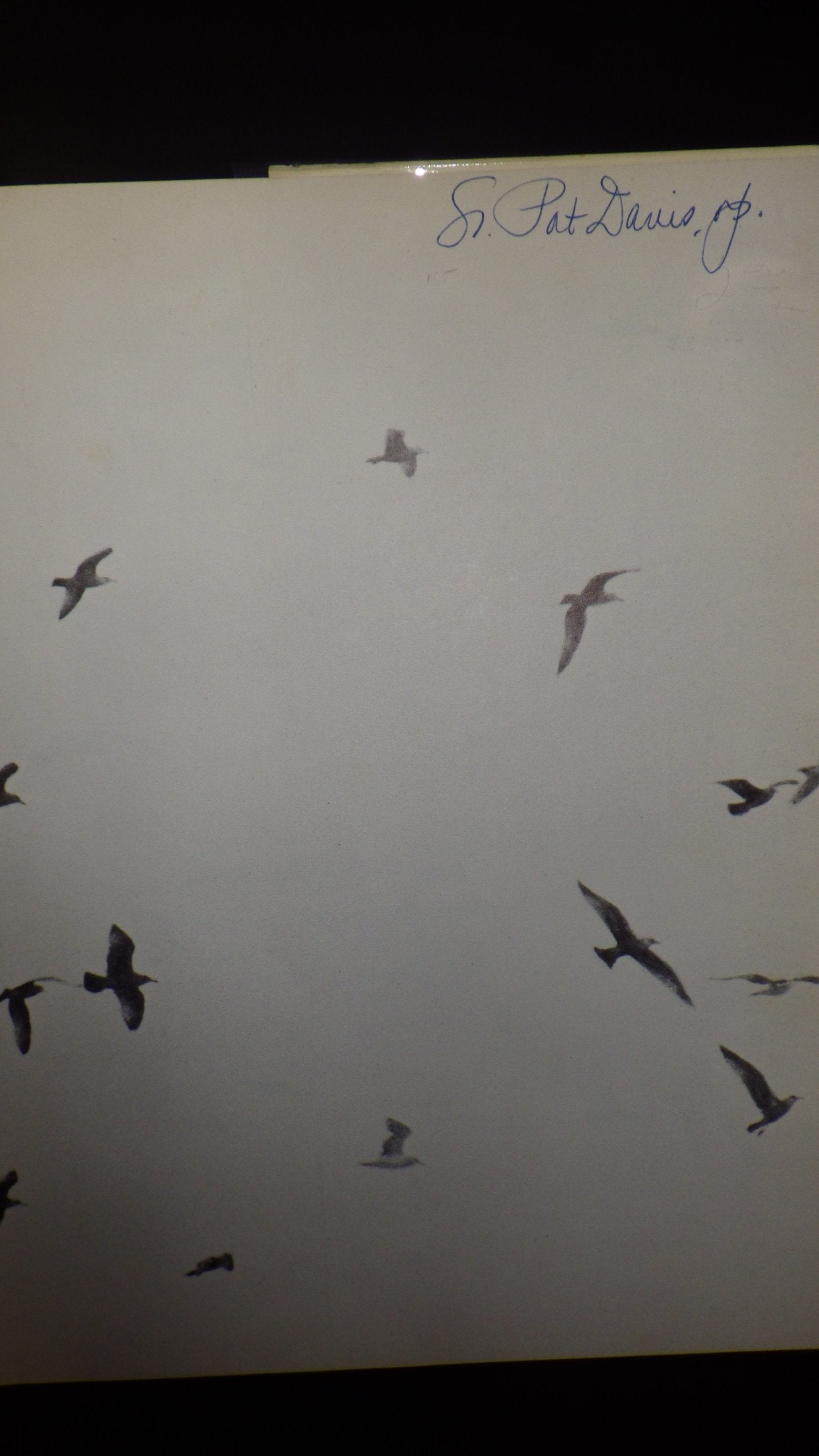 Jonathan Livingston Seagull