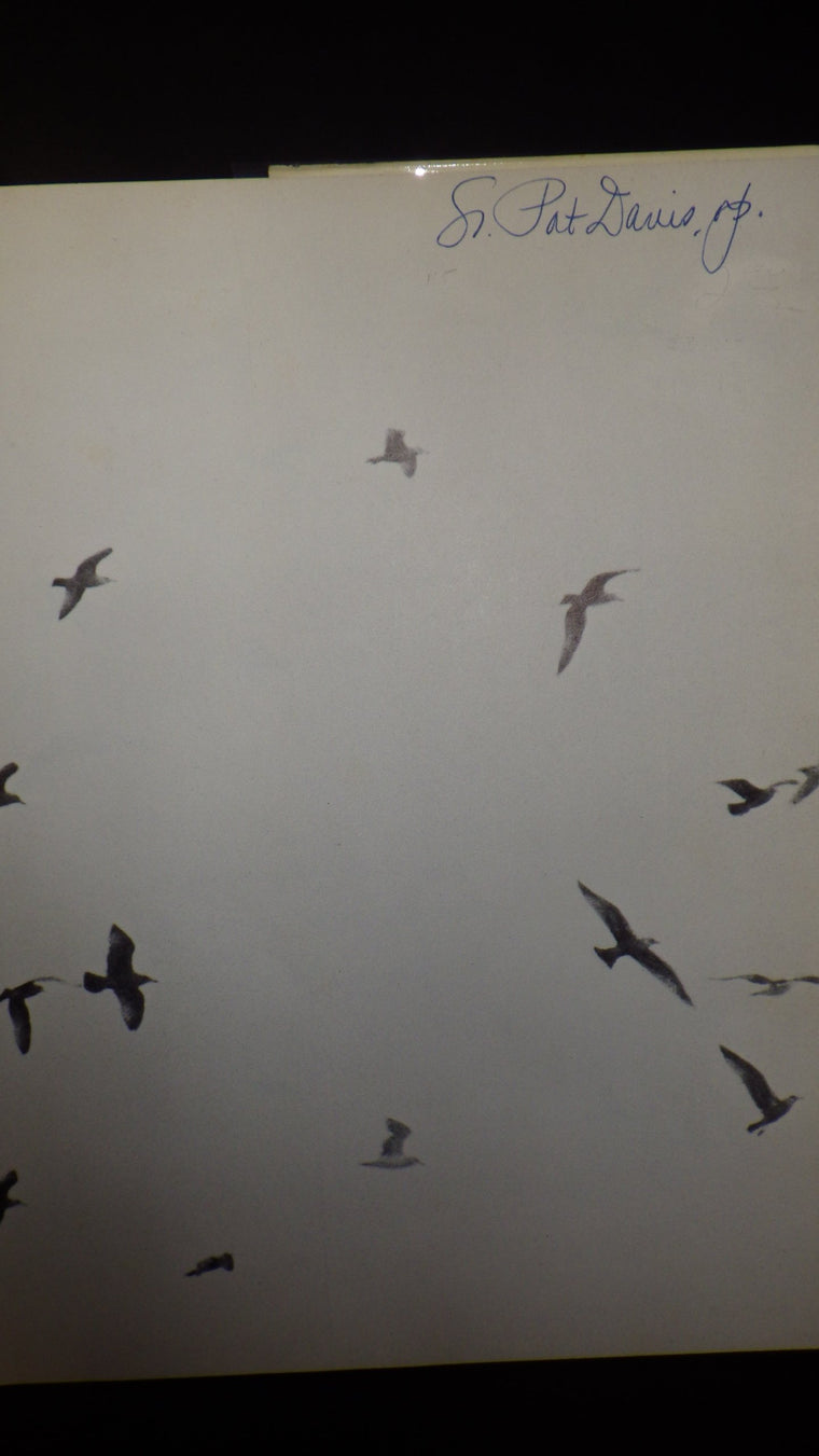 Jonathan Livingston Seagull — back cover