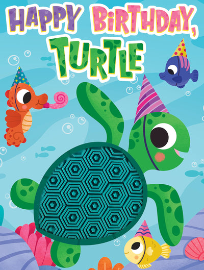 Little Hippo Books Happy Birthday Turtle I Ocean Children's Books Ages 1-3  Touch and Feel Books for Toddlers 1-3 & Baby Books  Best Kids Books and ... Sensory Board Books for Baby & Toddler Time)