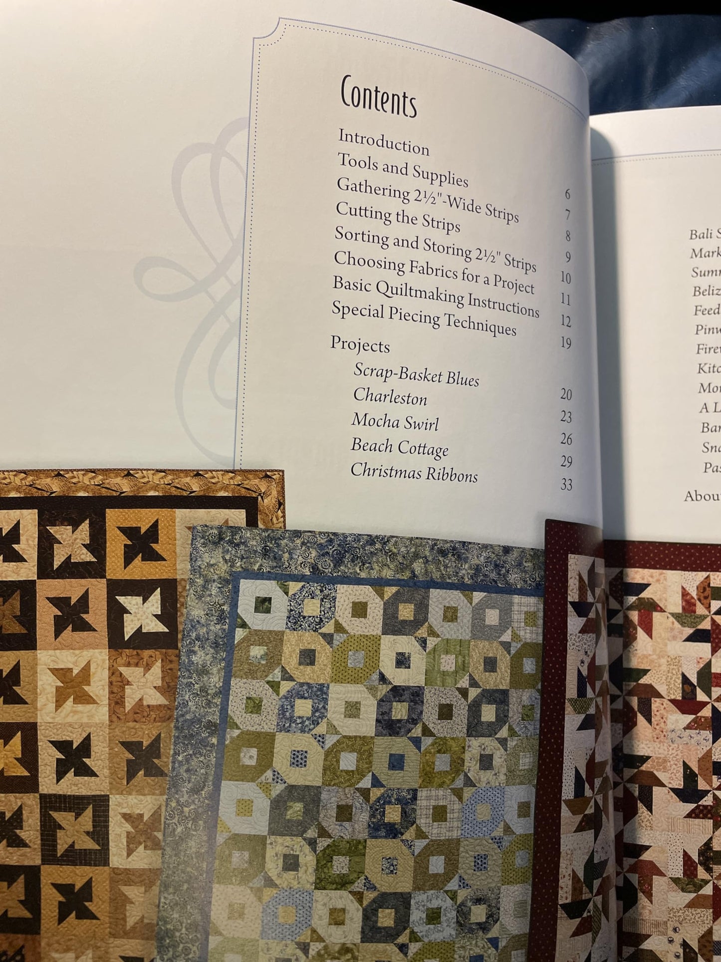 Scrap-Basket Surprises: 18 Quilts from 2 1/2" Strips