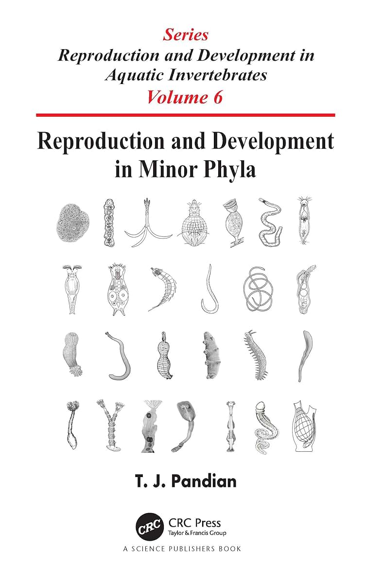 Reproduction and Development in Minor Phyla (Reproduction and Development in Aquatic Invertebrates)