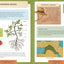 Nature School: In the Garden: Lessons and Activities to Cultivate Childrens Connection to the Natural World