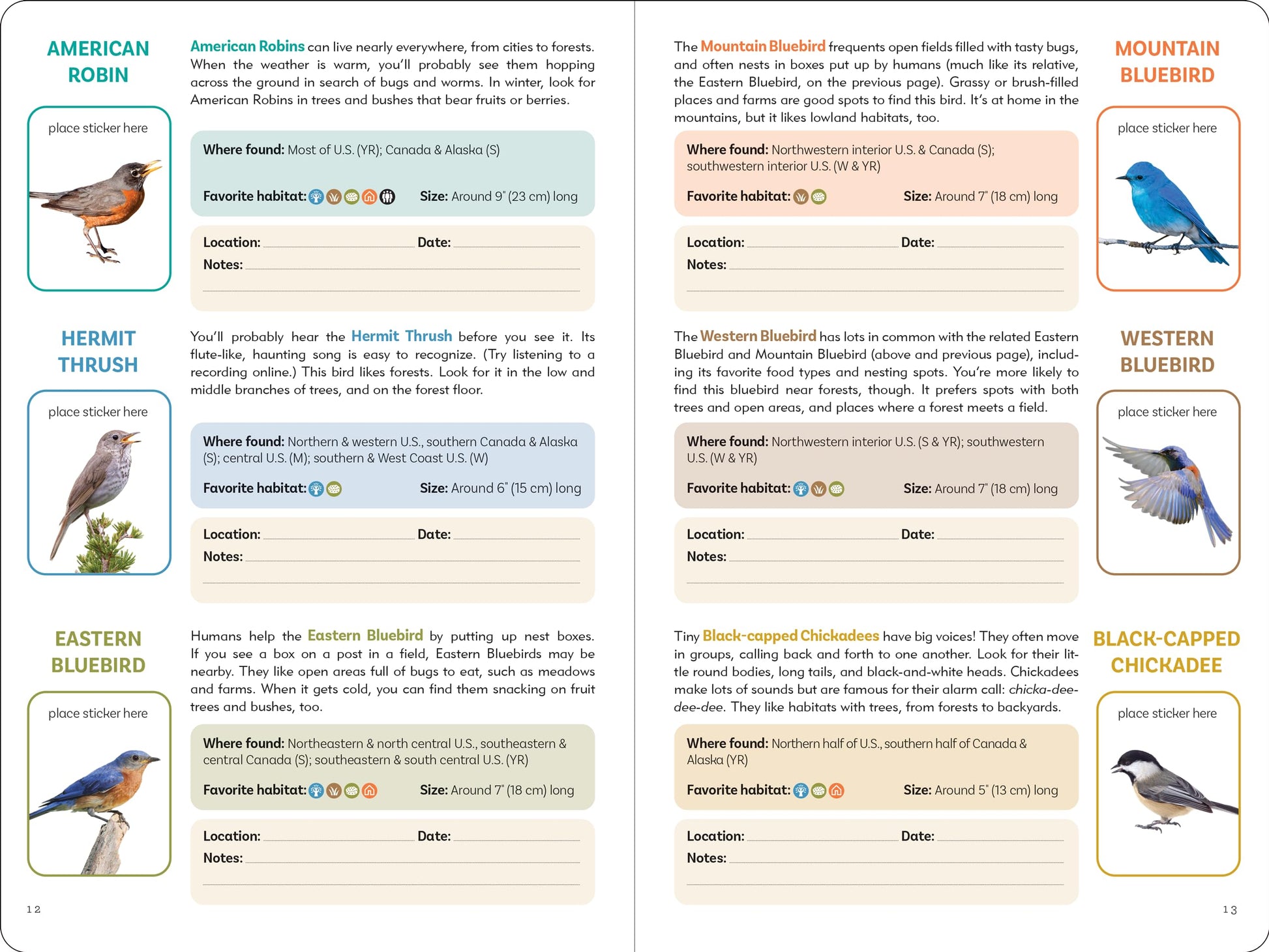 Birder's Logbook: A Seek-and-Sticker Book for Budding Ornithologists (comes with 100 full-color stickers of birds!)