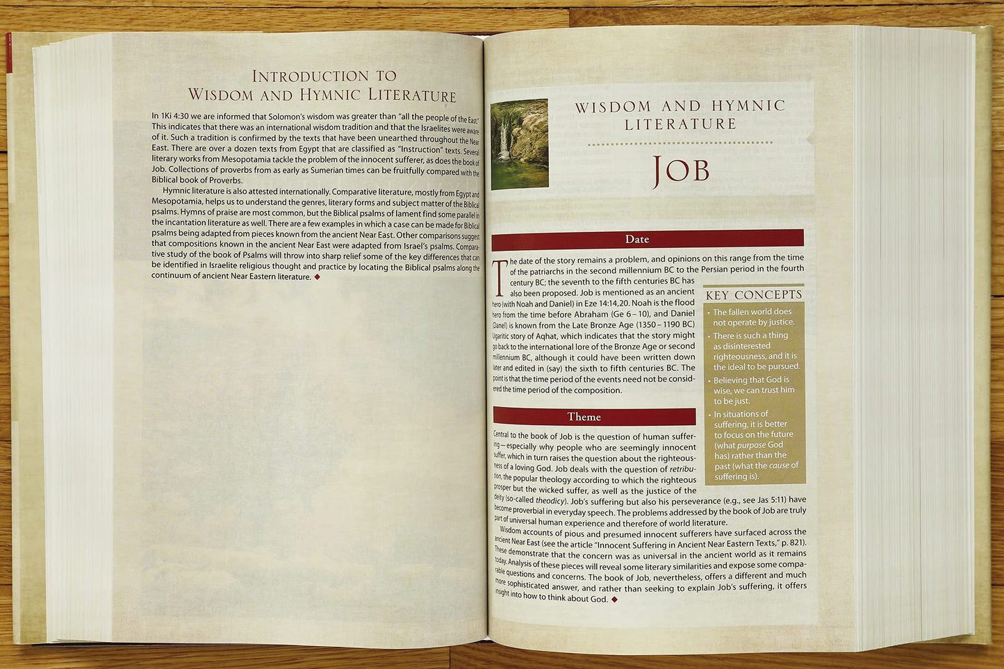 NIV, Cultural Backgrounds Study Bible (Context Changes Every