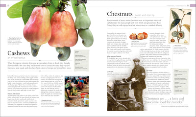 The Food Book: The Stories, Science, and History of What We Eat, New Edition (DK Nature Books)