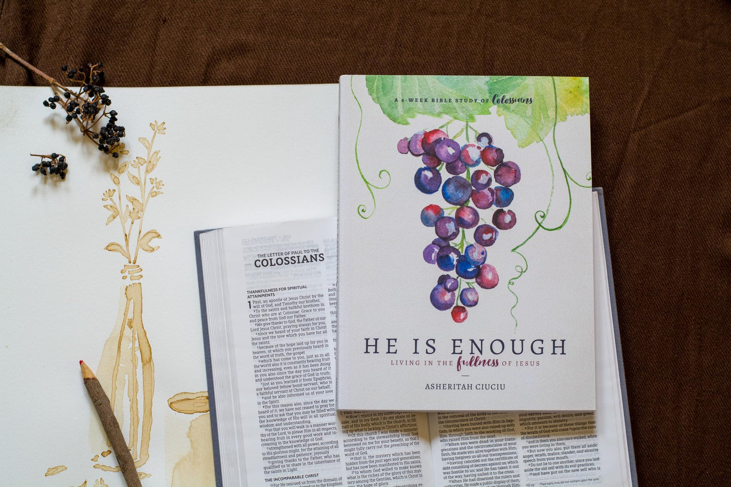 He is Enough: Living in the Fullness of Jesus (A Study in Colossians)