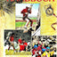 The Boy Scout Handbook: The Trail to Eagle