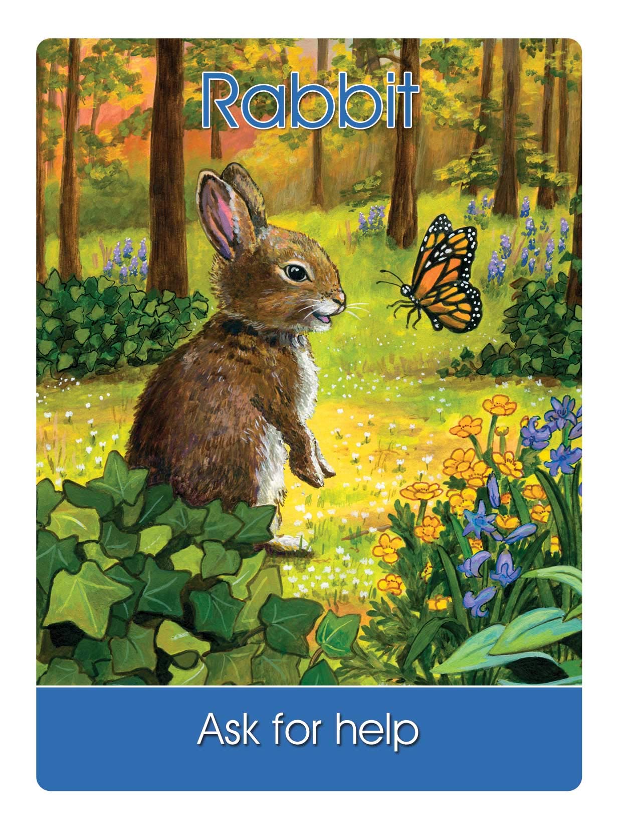 Children's Spirit Animal Cards: 24 Cards and 92 Page Author's Guidebook