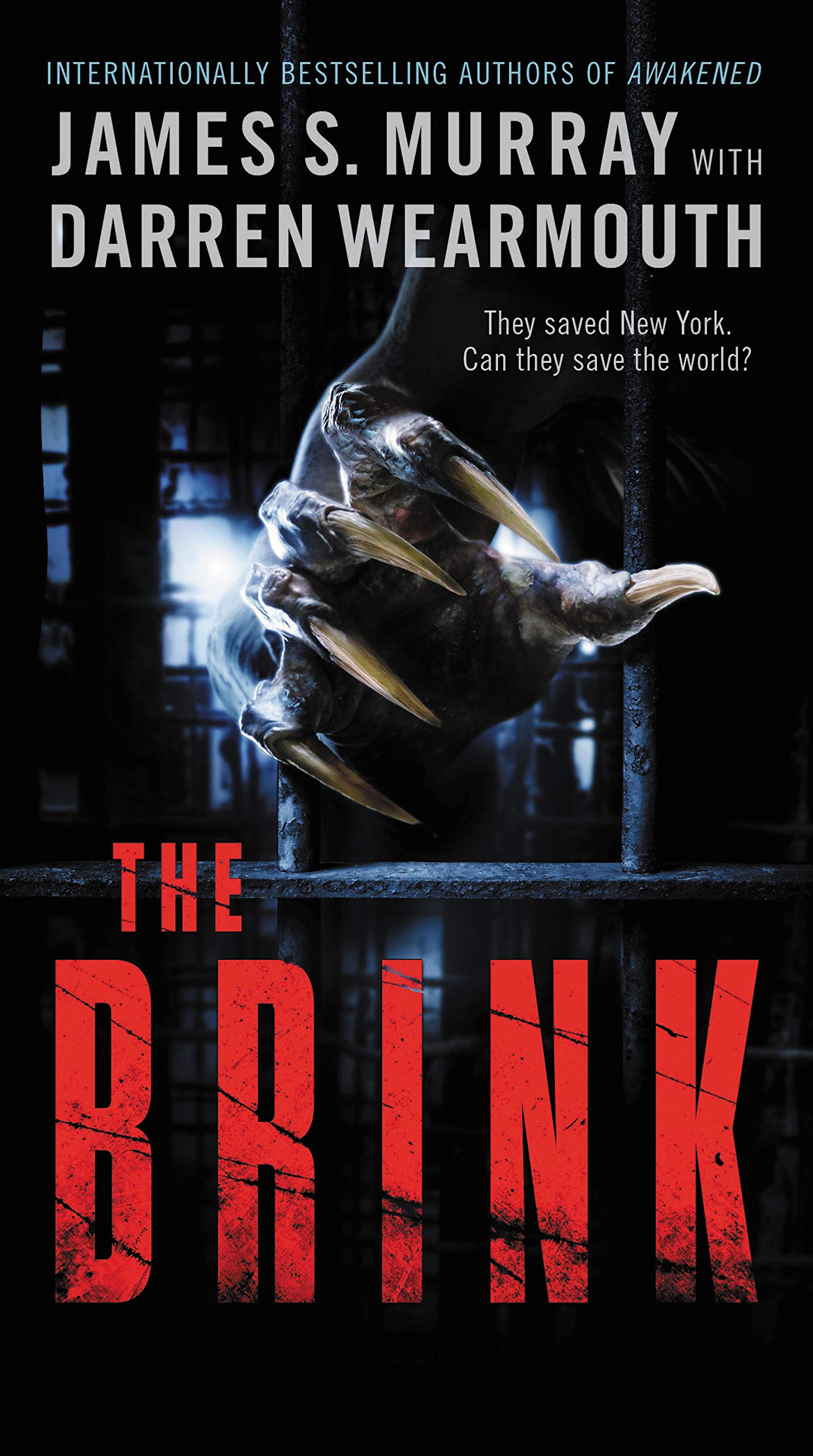 The Brink: A Novel (Awakened, 2)