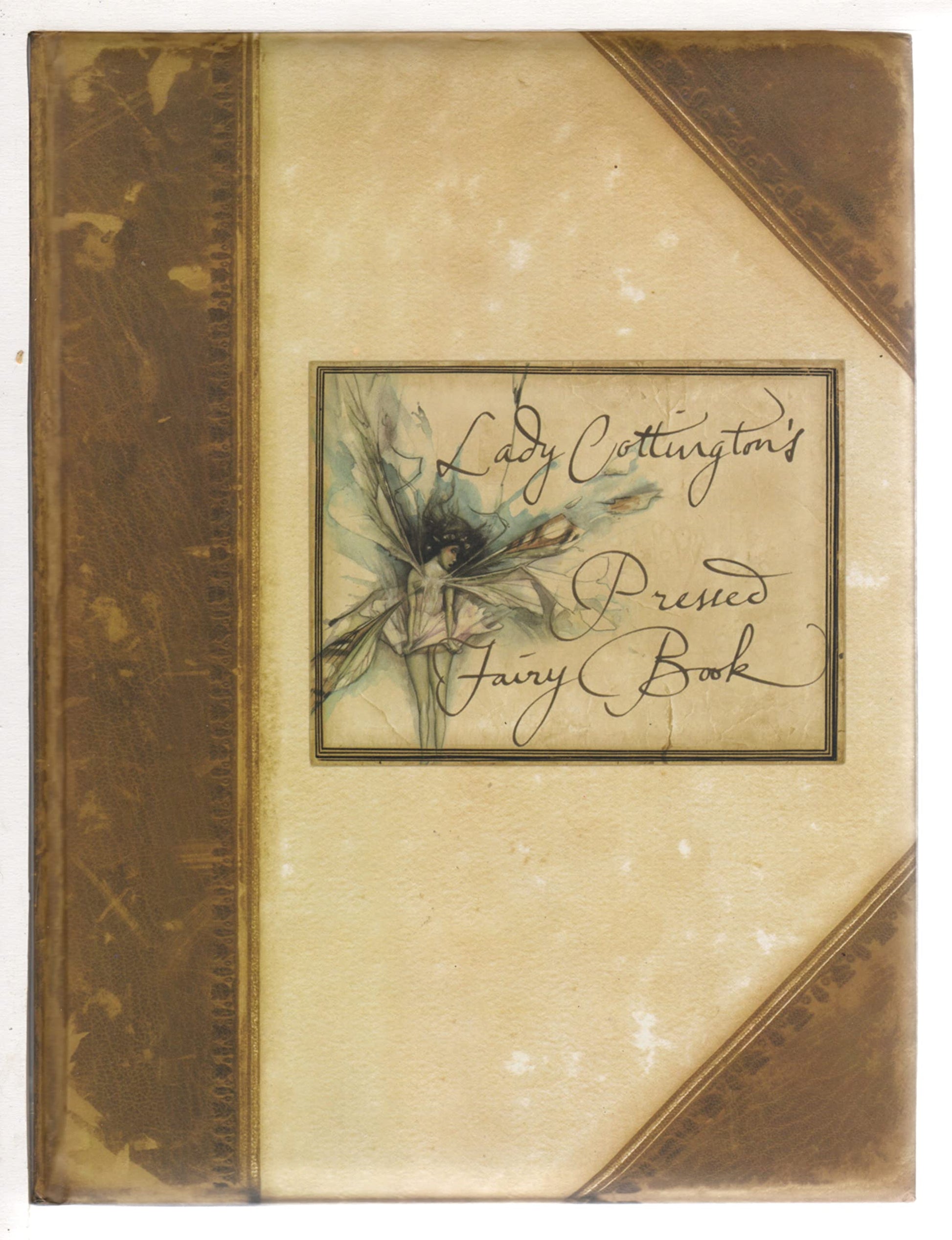 Lady Cottington's Pressed Fairy Book