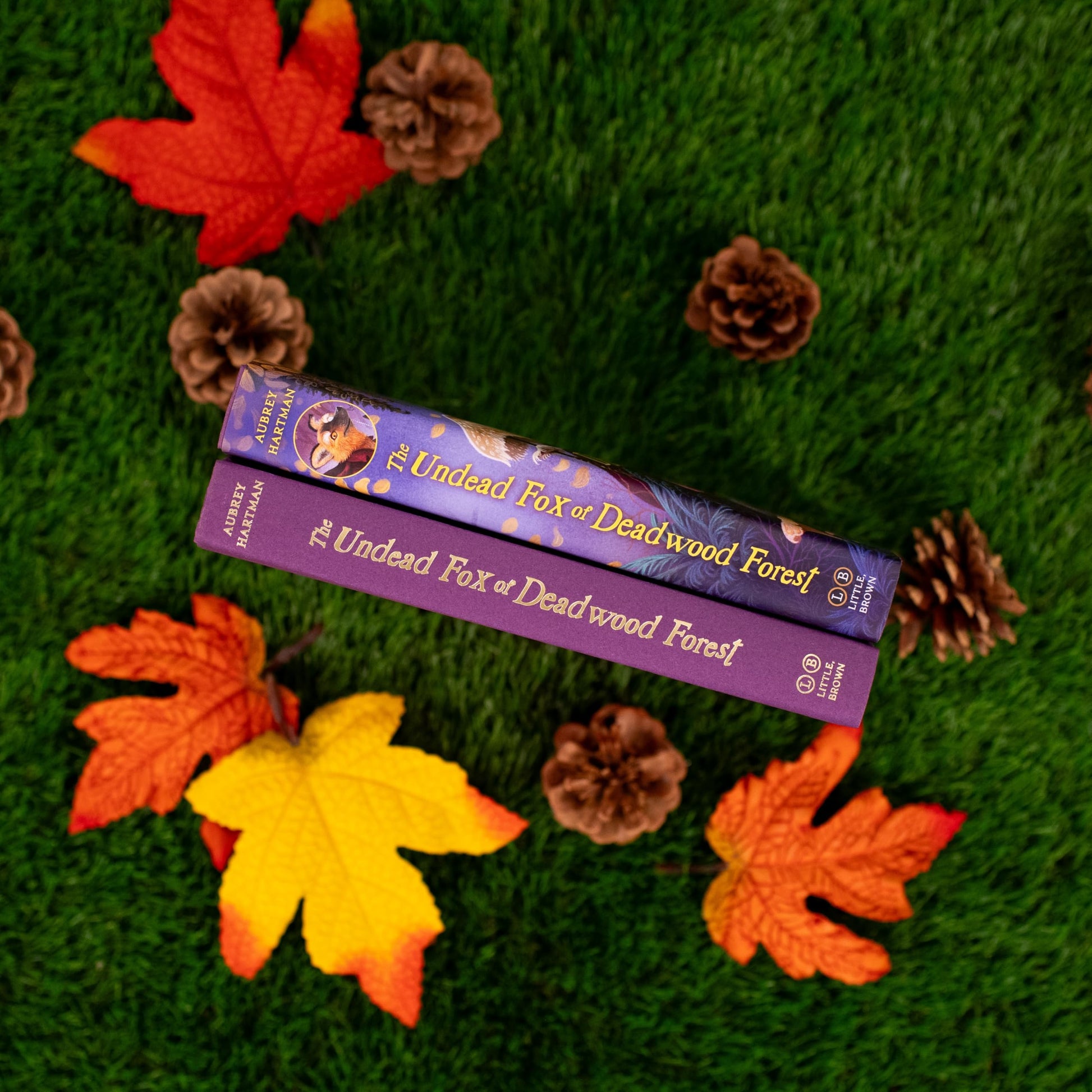 The Undead Fox of Deadwood Forest (Newbery Honor Award Winner)