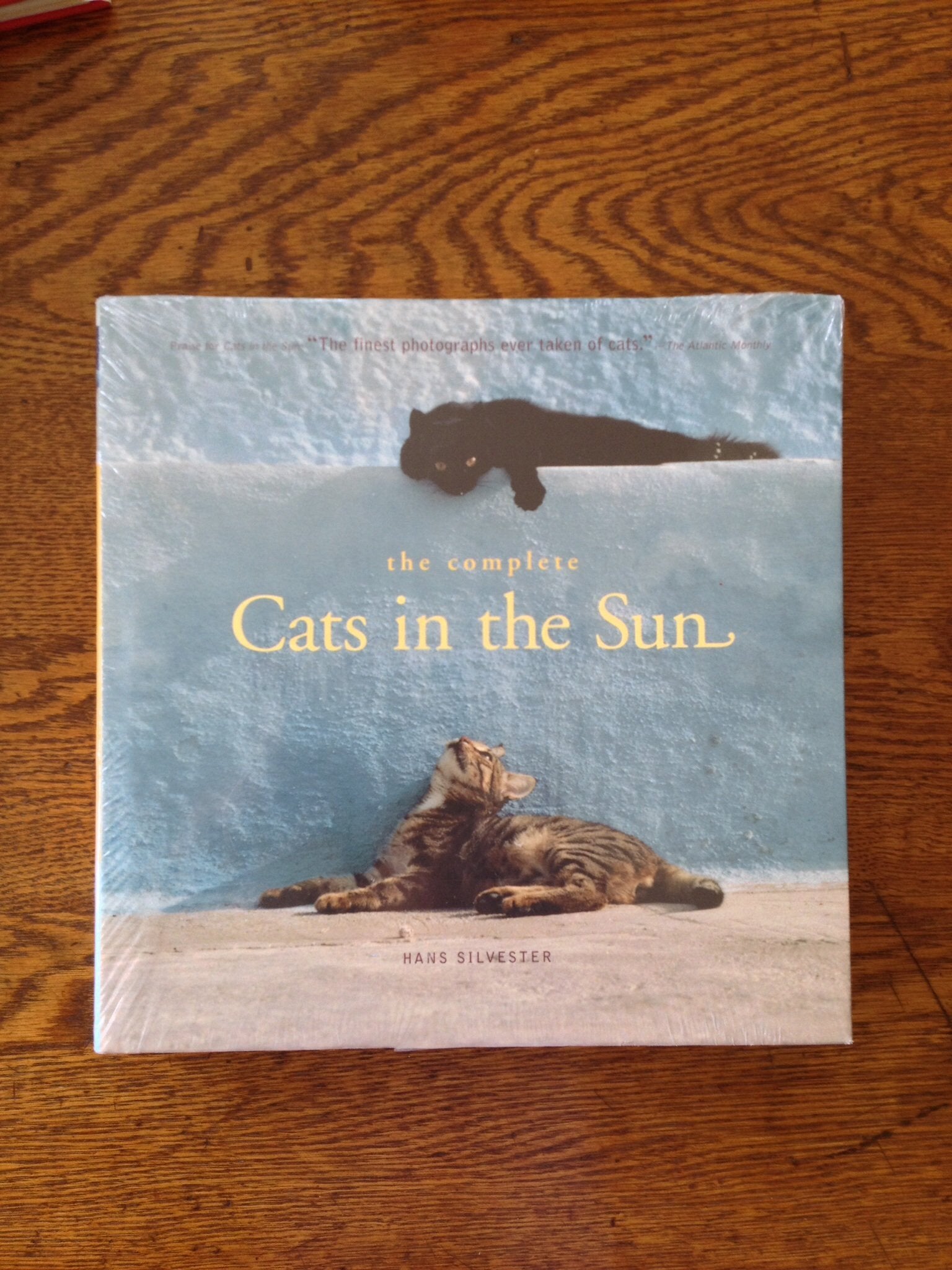 The Complete Cats in the Sun