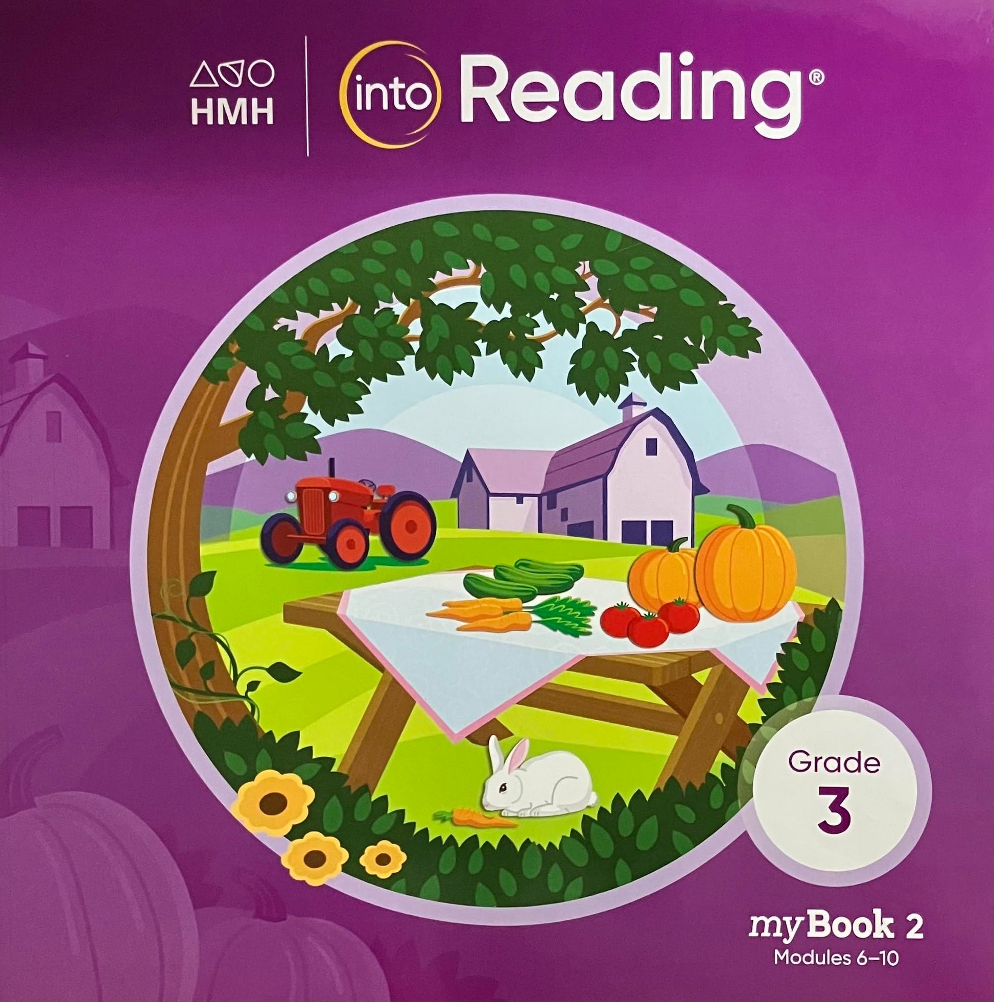 Student Mybook Grade 3 (Into Reading, 2)
