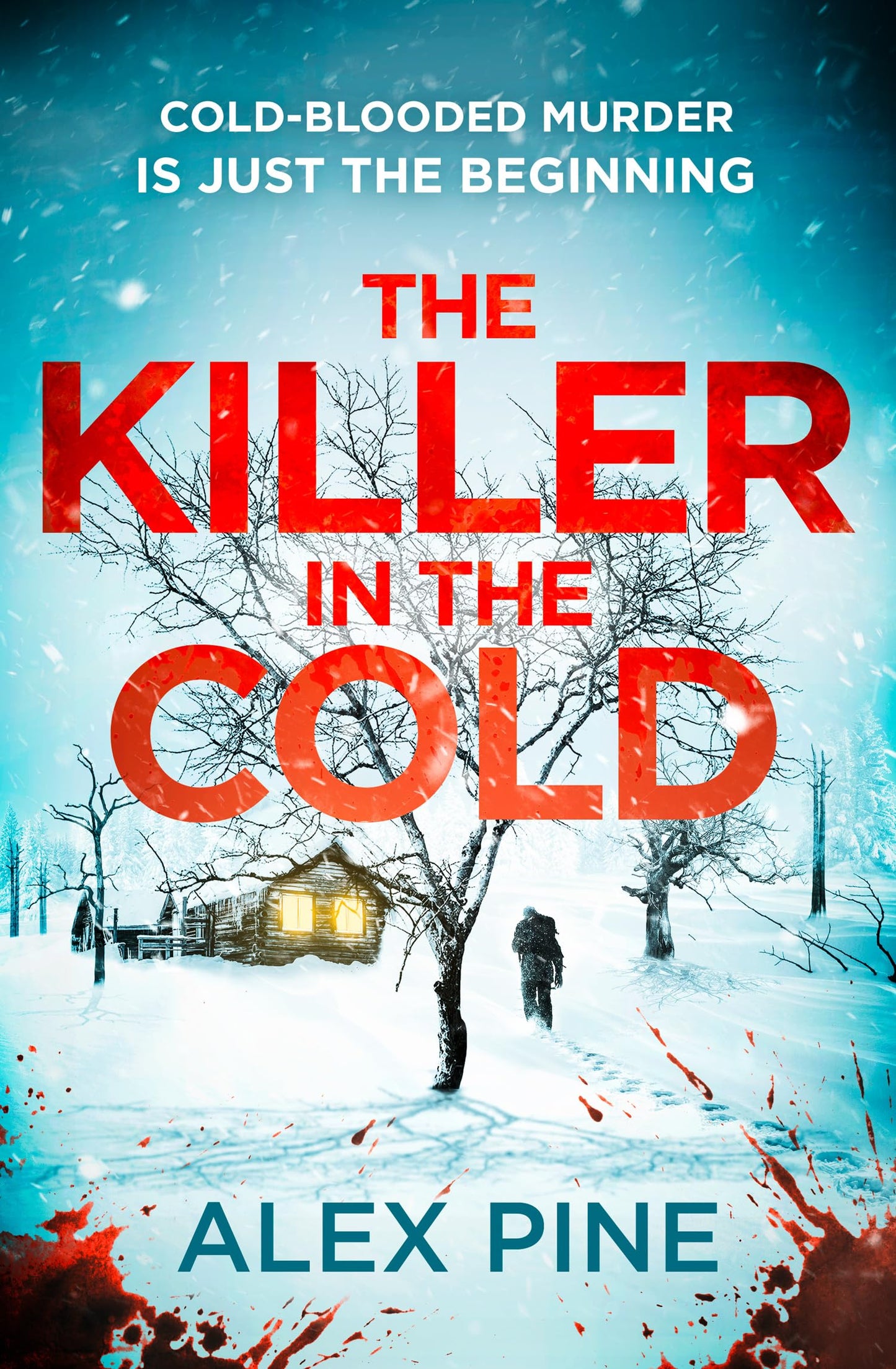 The Killer in the Cold: Uncover the most chilling thriller of 2024 (DI James Walker series) (Book 5)