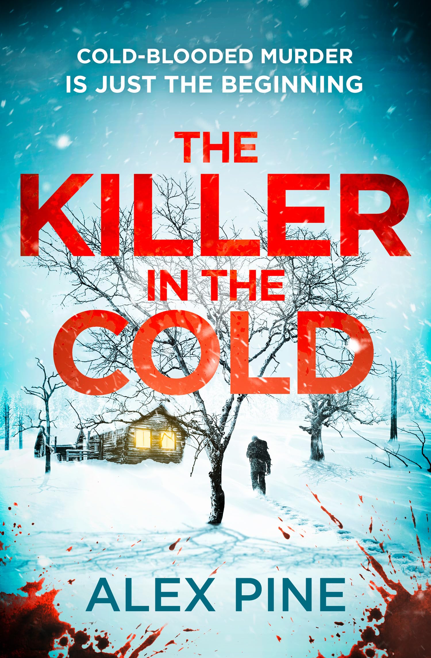 The Killer in the Cold: Uncover the most chilling thriller of 2024 (DI James Walker series) (Book 5)