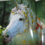Unicorns I Have Known by Vavra, Robert