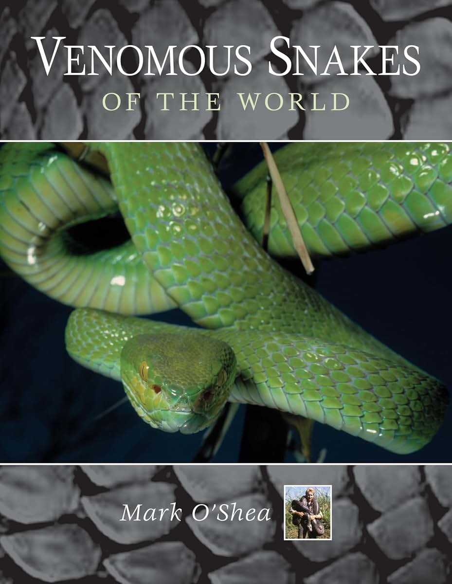 Venomous Snakes of the World by O'Shea, Mark