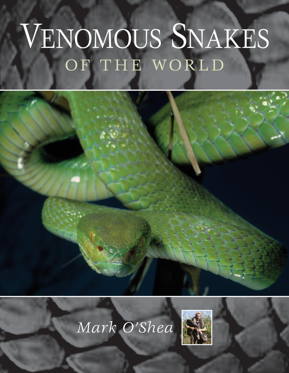 Venomous Snakes of the World