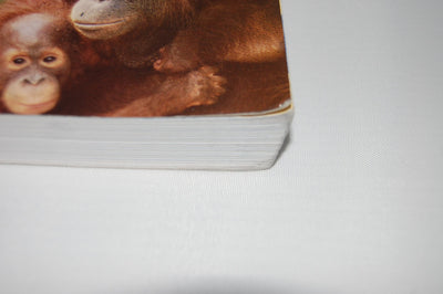 The Essence of Anthropology (Available Titles CengageNOW)