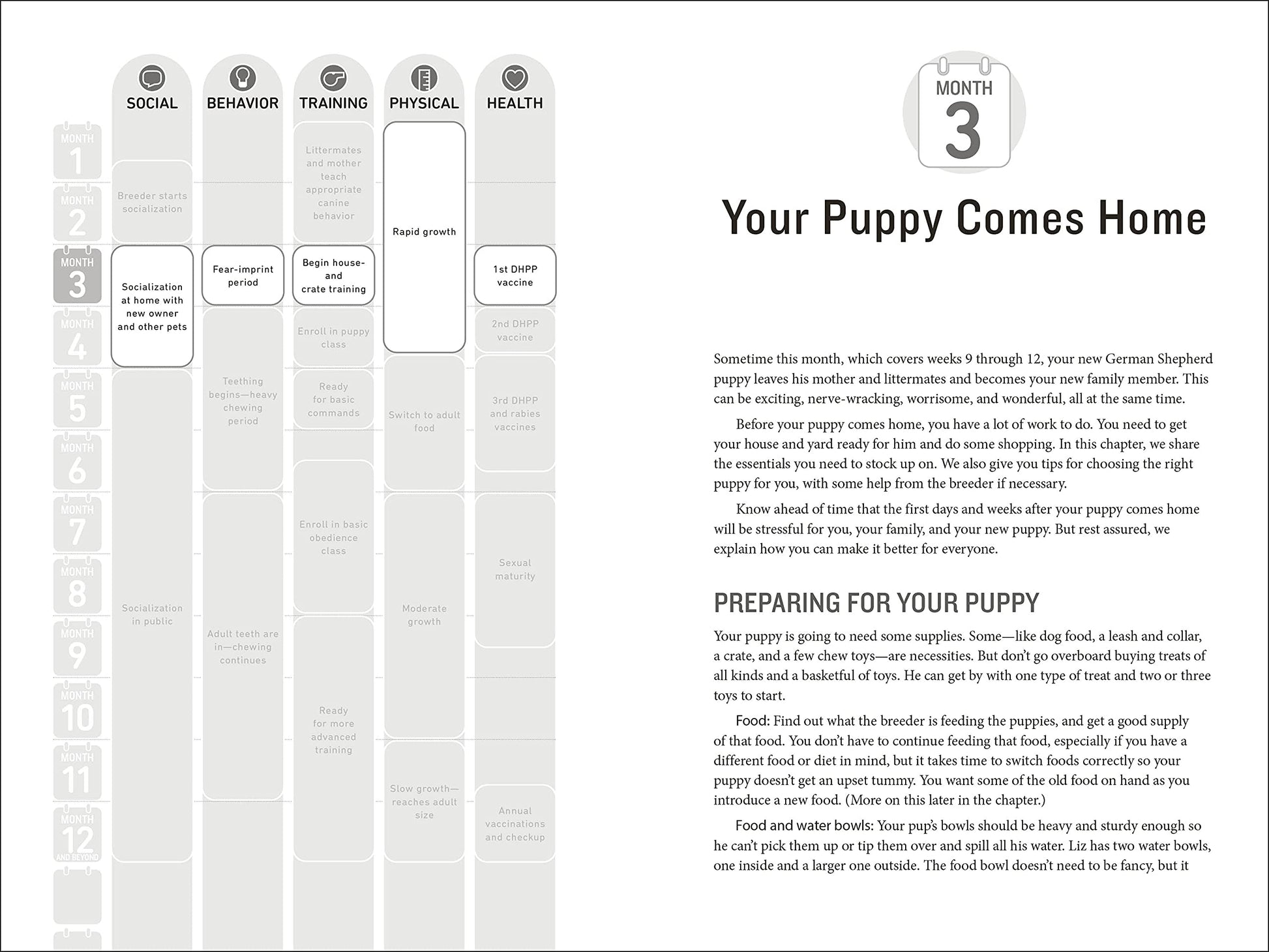 Your German Shepherd Puppy Month by Month, 2nd Edition: Everything You Need to Know at Each State to Ensure Your Cute and Playful Puppy (Your Puppy Month by Month)