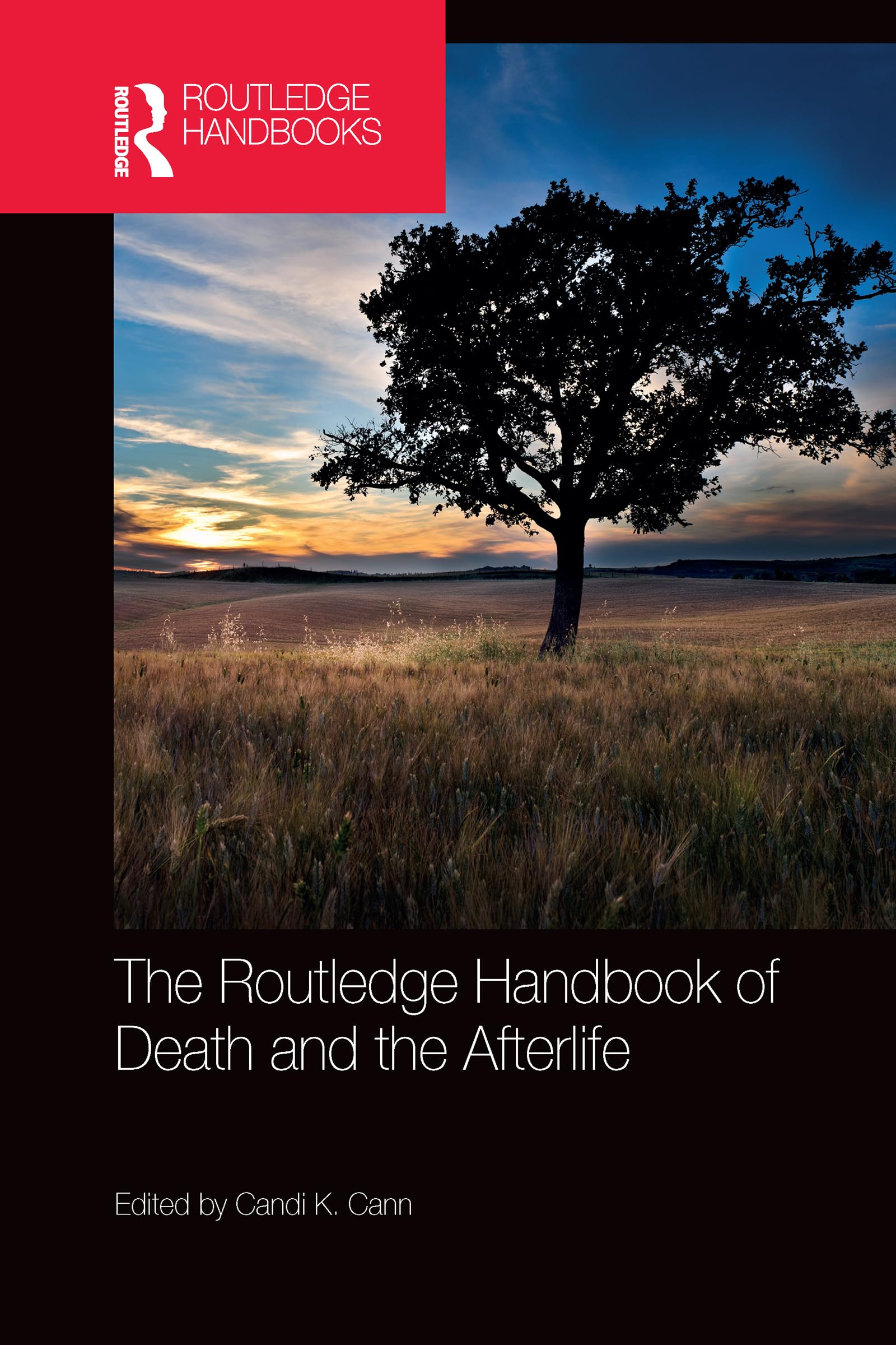 The Routledge Handbook of Death and the Afterlife (Routledge Handbooks in Religion)