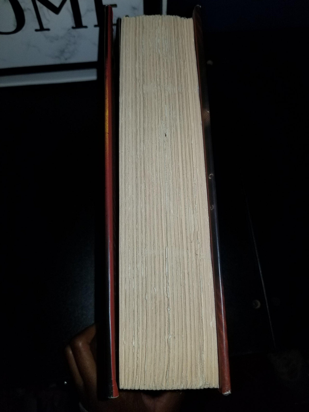 Acheron (Dark-Hunter, Book 12)