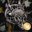 A Light in the Flame Special Edition (Flesh and Fire)