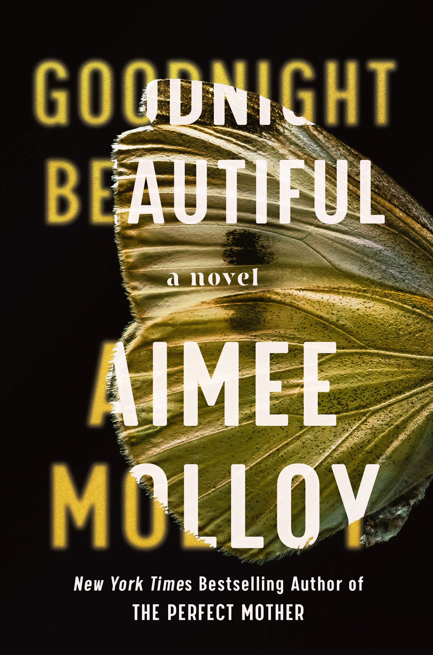 Goodnight Beautiful: A Novel by Molloy, Aimee