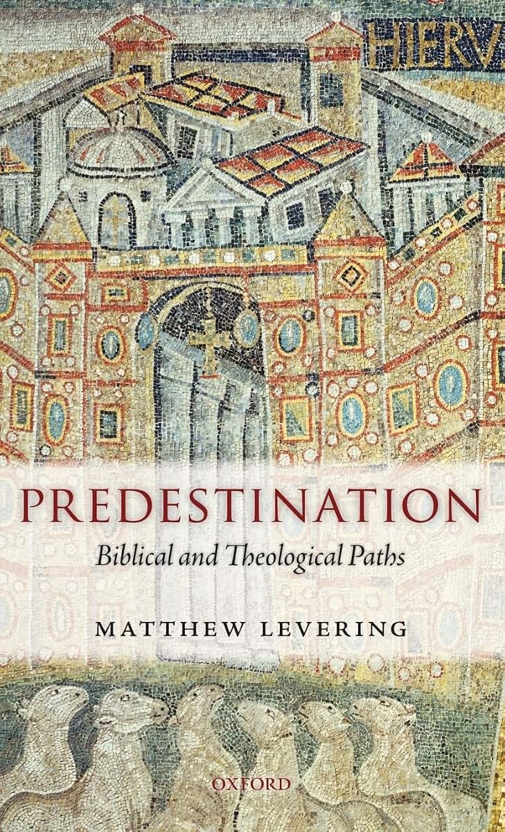 Predestination: Biblical and Theological Paths