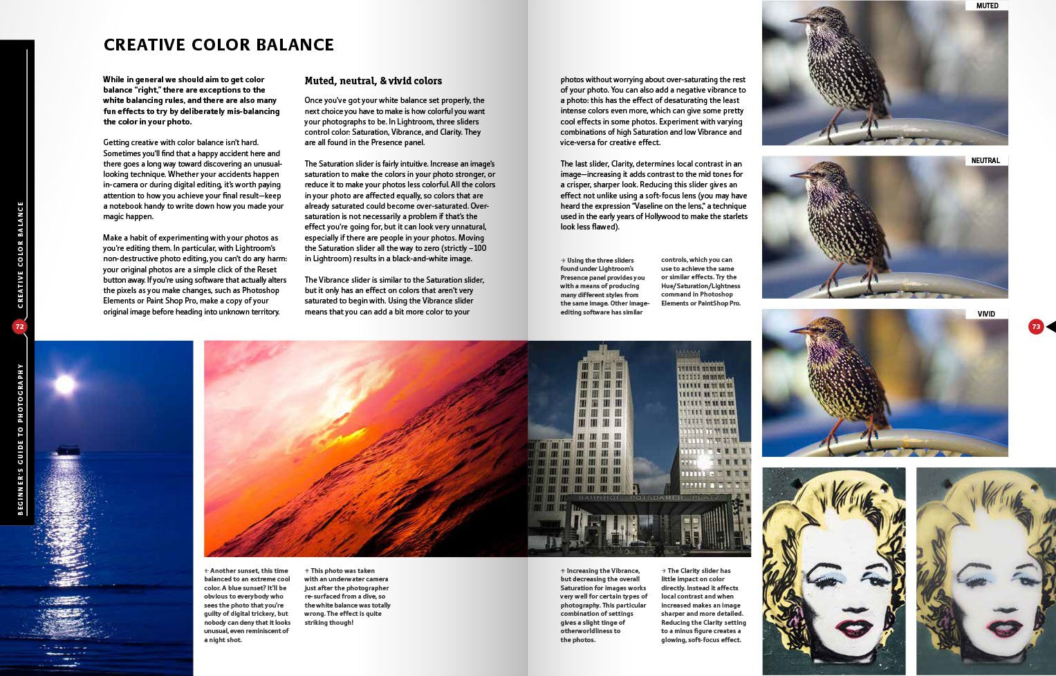 The Beginner's Guide to Photography: No Jargon - Just Great Photos