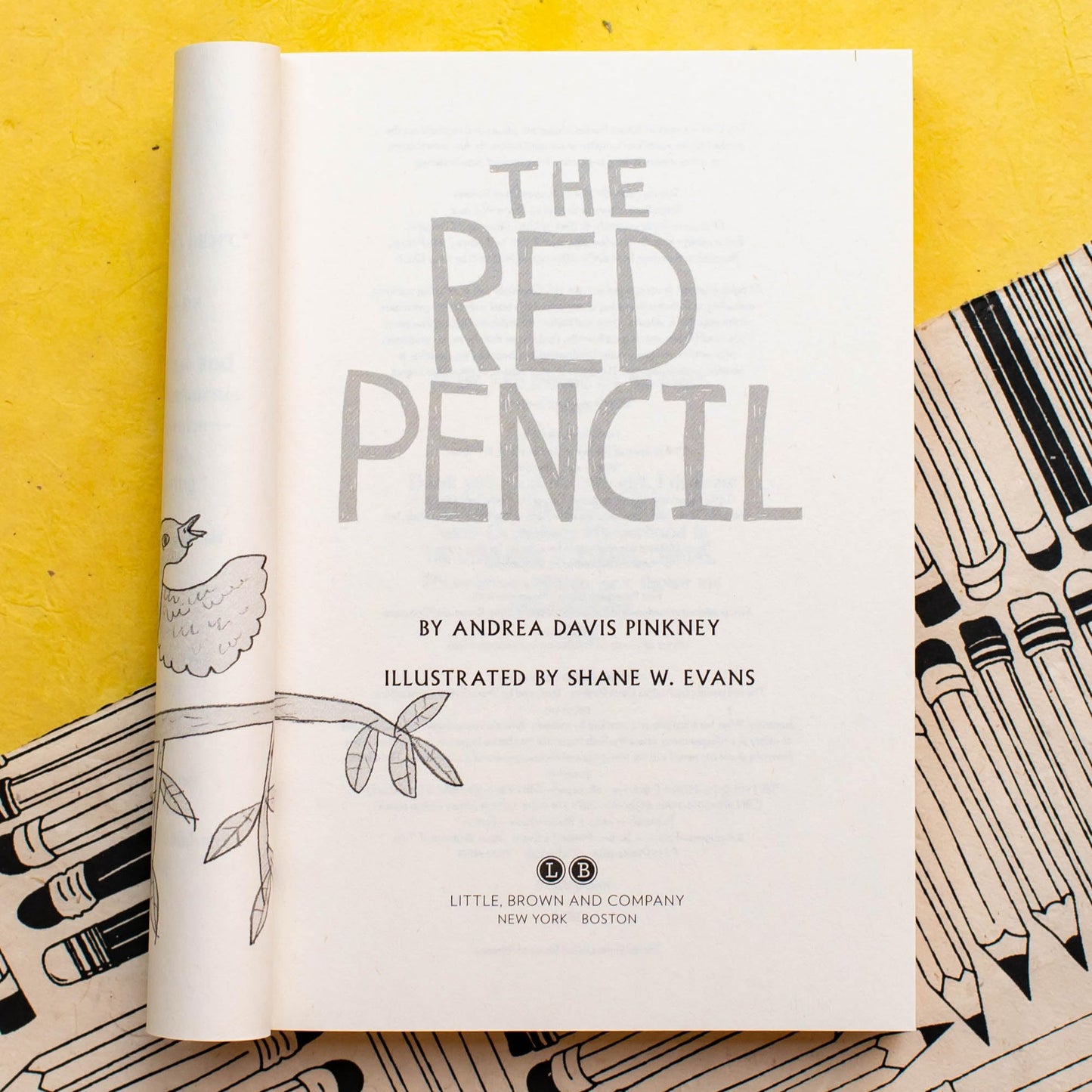 The Red Pencil