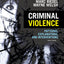 Criminal Violence: Patterns, Explanations, and Interventions