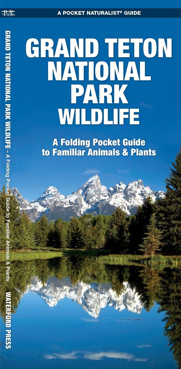 Grand Teton National Park Wildlife: A Folding Pocket Guide to Familiar Animals & Plants (Wildlife and Nature Identification)