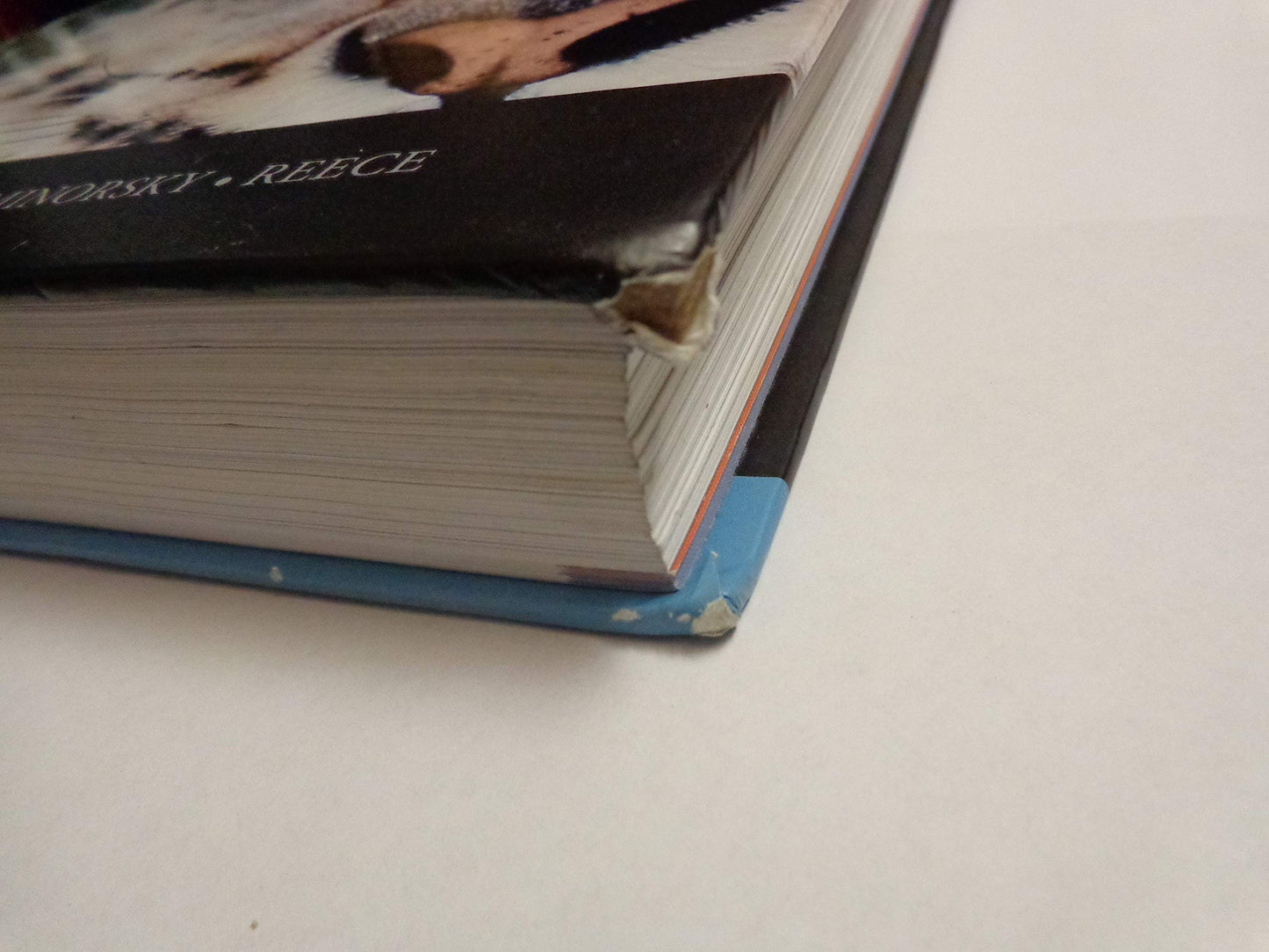 Campbell Biology in Focus (2nd Edition)
