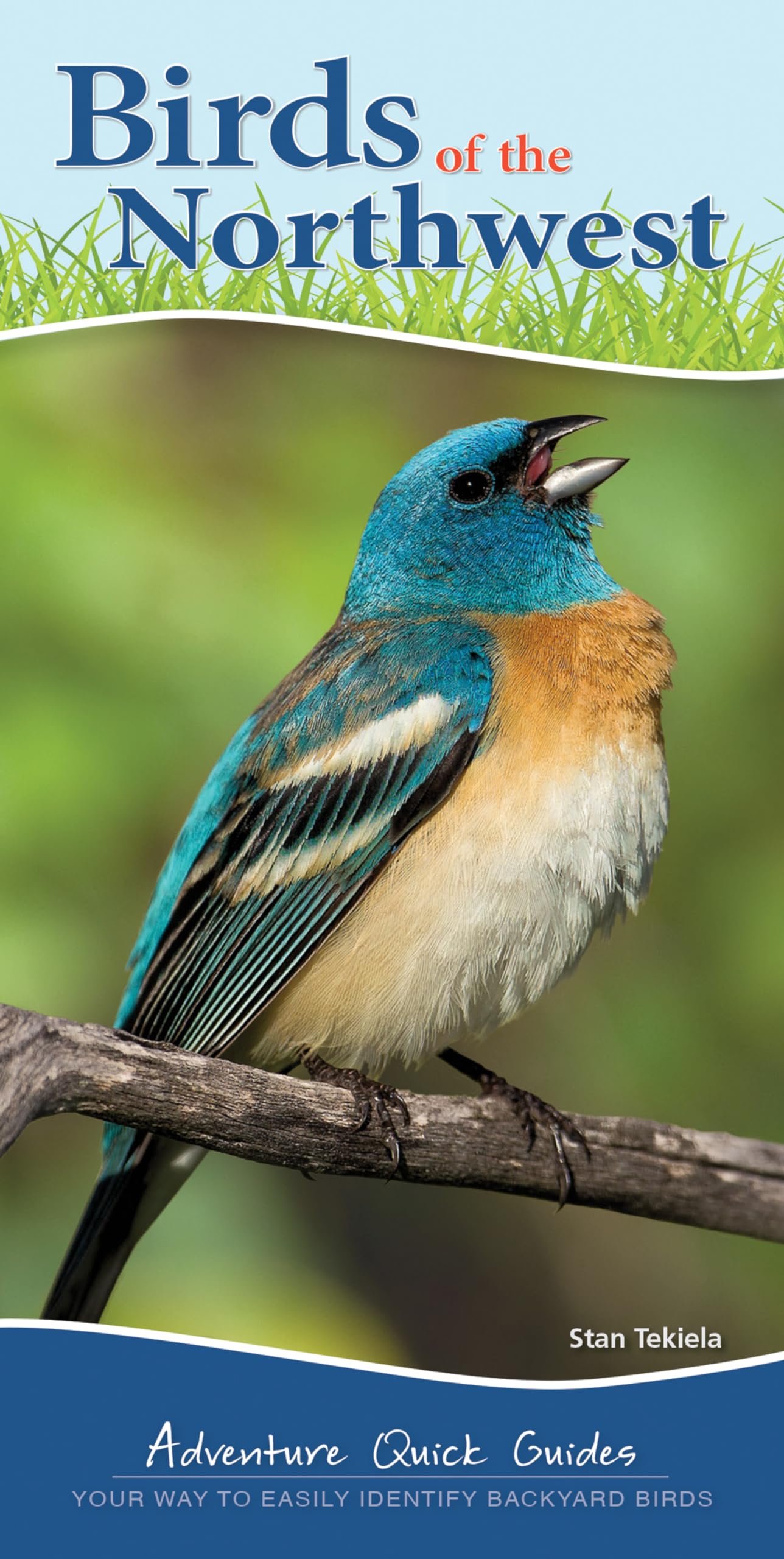 Birds of the Northwest: Your Way to Easily Identify Backyard Birds (Adventure Quick Guides)