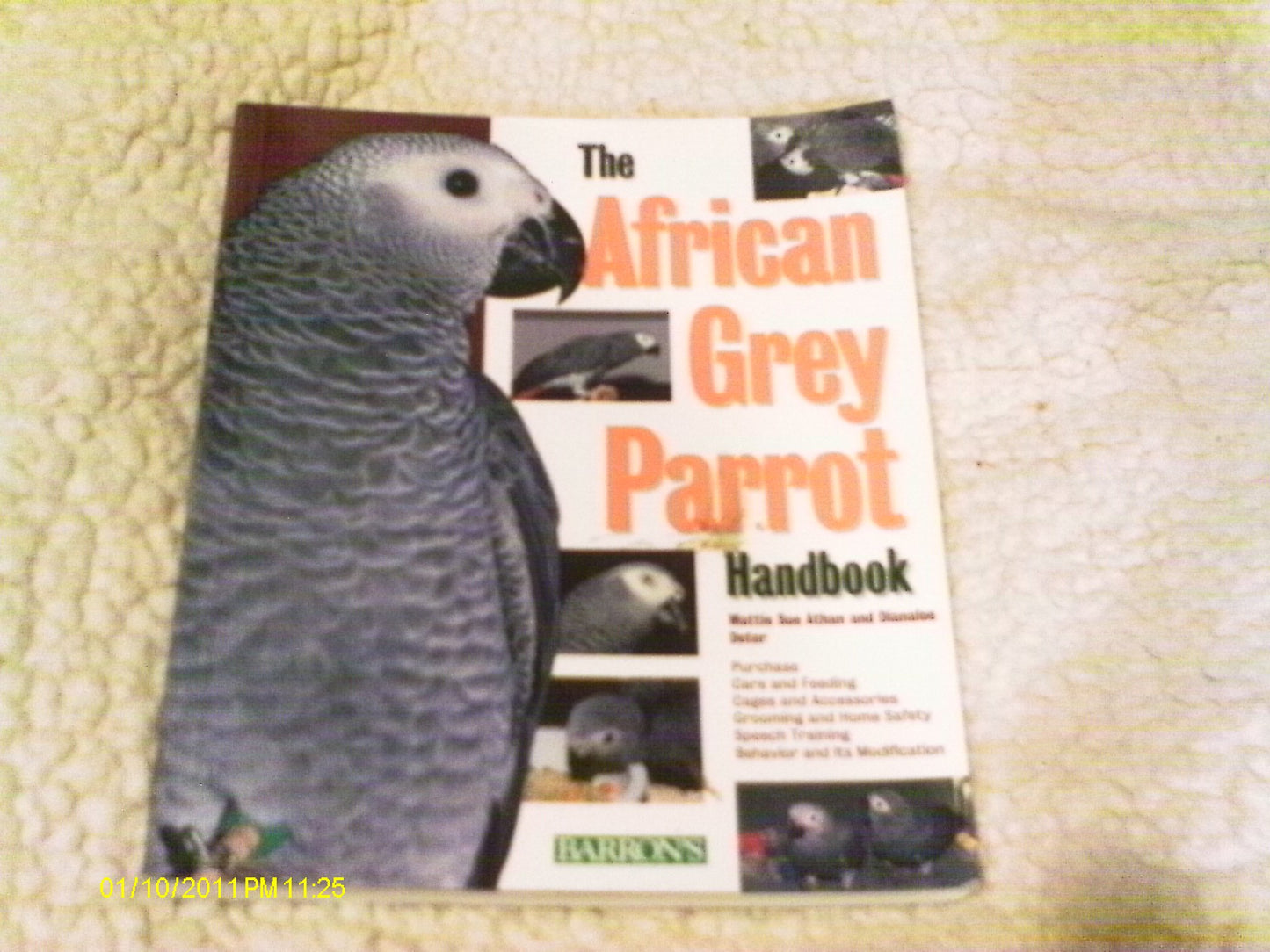 The African Grey Parrot Handbook (Barron's Pet Handbooks)