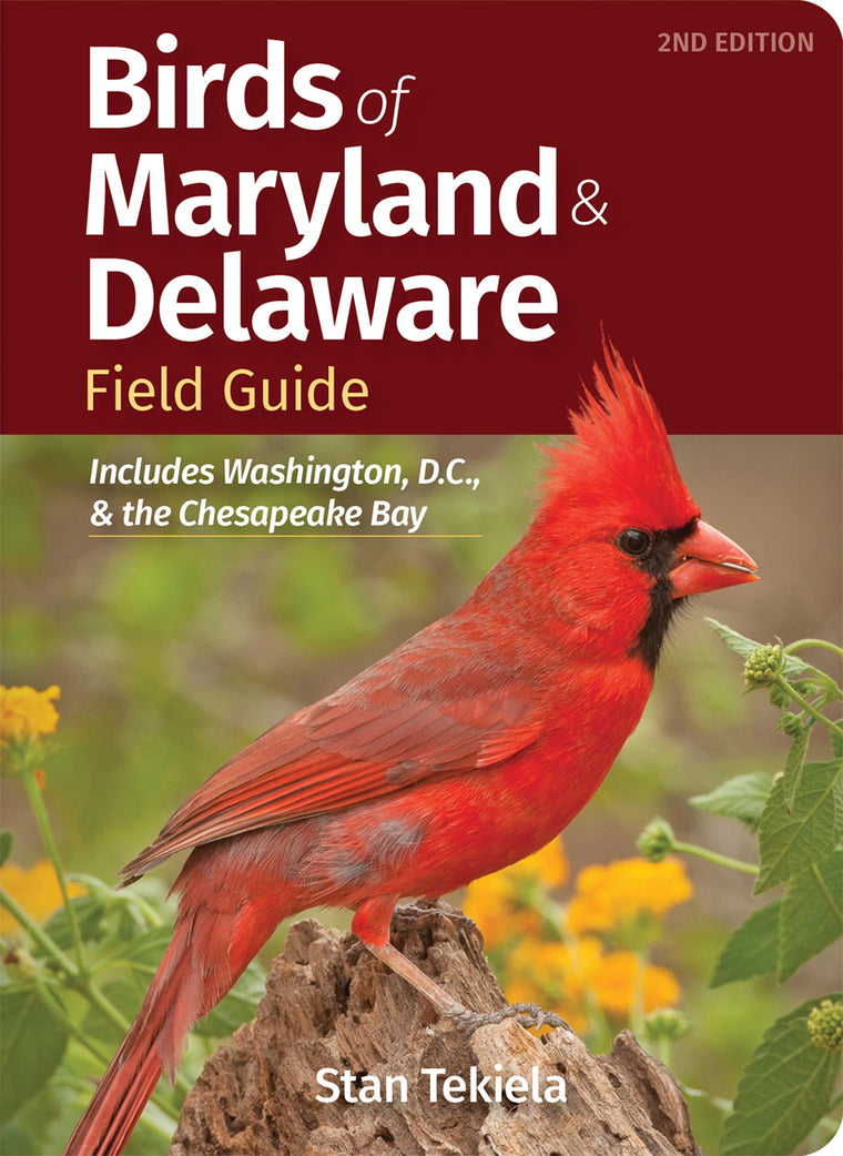 Birds of Maryland & Delaware Field Guide: Includes Washington, D.C., & the Chesapeake Bay (Bird Identification Guides)