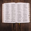 NIV, Thinline Bible, Giant Print, Leathersoft, Brown, Red Letter, Thumb Indexed, Comfort Print