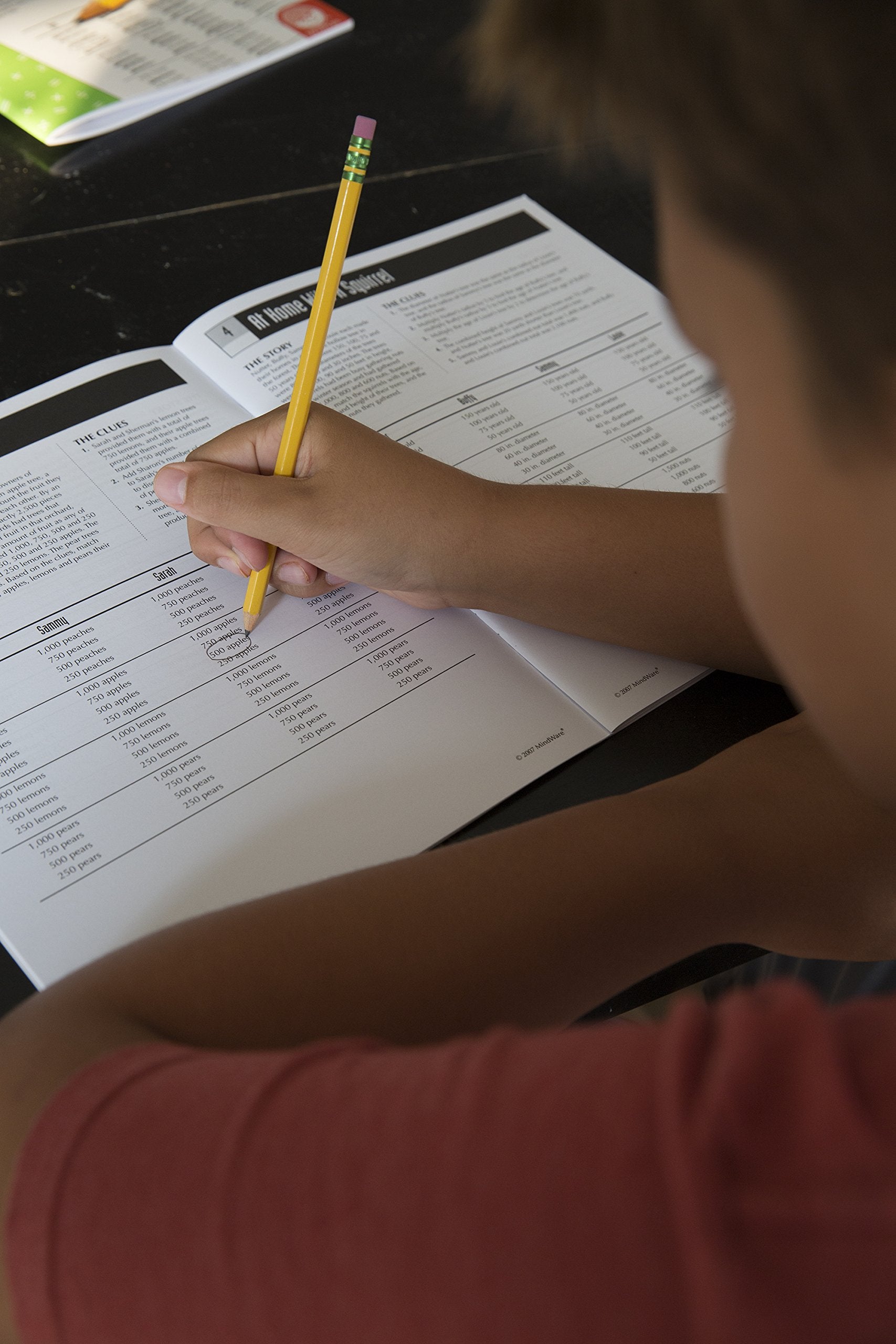 Math Perplexors: Deductive Logic Puzzles, Level C, Grades 5-6
