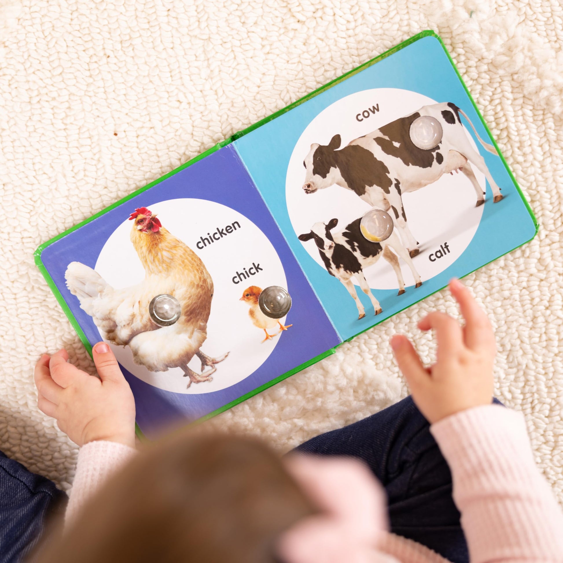 Melissa & Doug Poke-A-Dot: Farm Animal Families