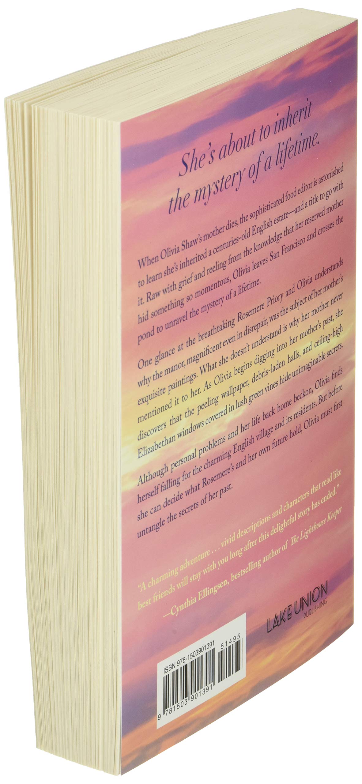 The Art of Inheriting Secrets: A Novel