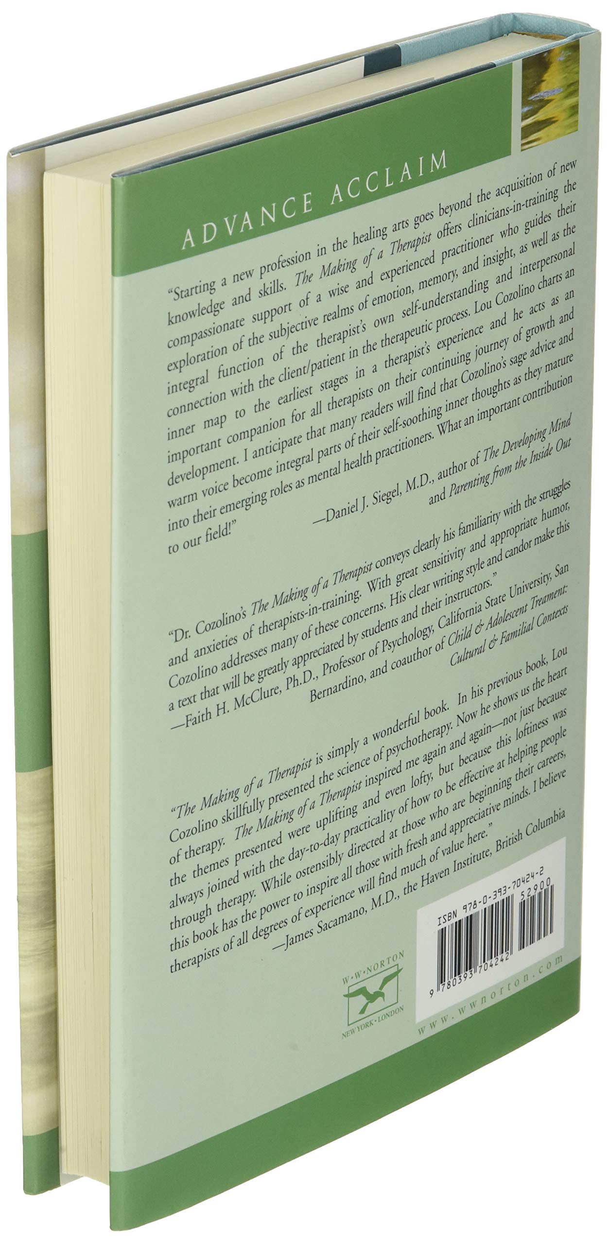The Making of a Therapist (Norton Professional Books)