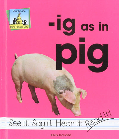 Ig As in Pig (Word Families Set 3)
